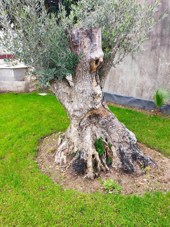 Casinha Do Rio Villa Soure Kültér fotó